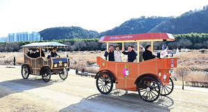 정원도시 달리는 '전기 마차'...관광벤치마킹 문의 쏟아져 - 뉴스 썸네일 이미지